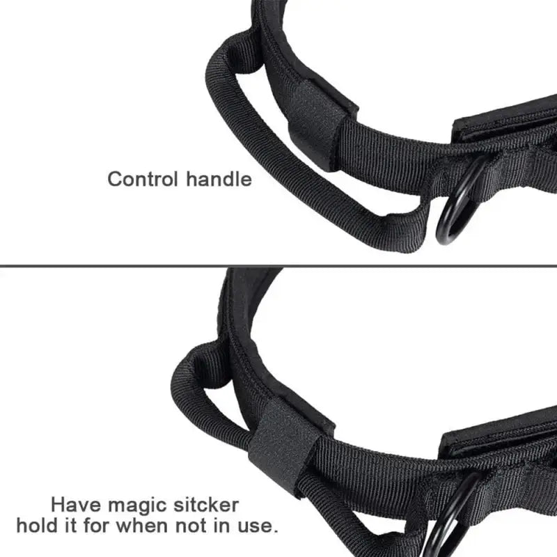 Dog Tactical Collar Training Set