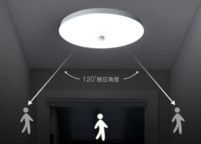 Intelligent Motion Voice-Controlled Ceiling Light
