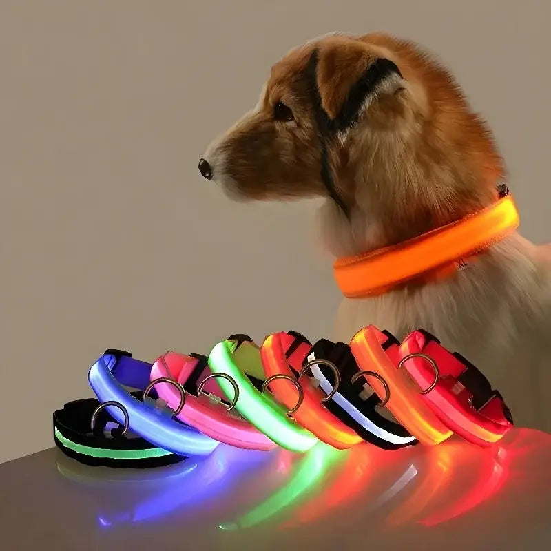 Illuminated dog collars.