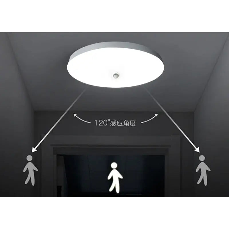 Ceiling-mounted motion sensor light.