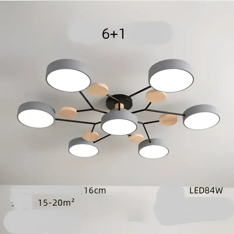 Modern gray and black ceiling light fixture.