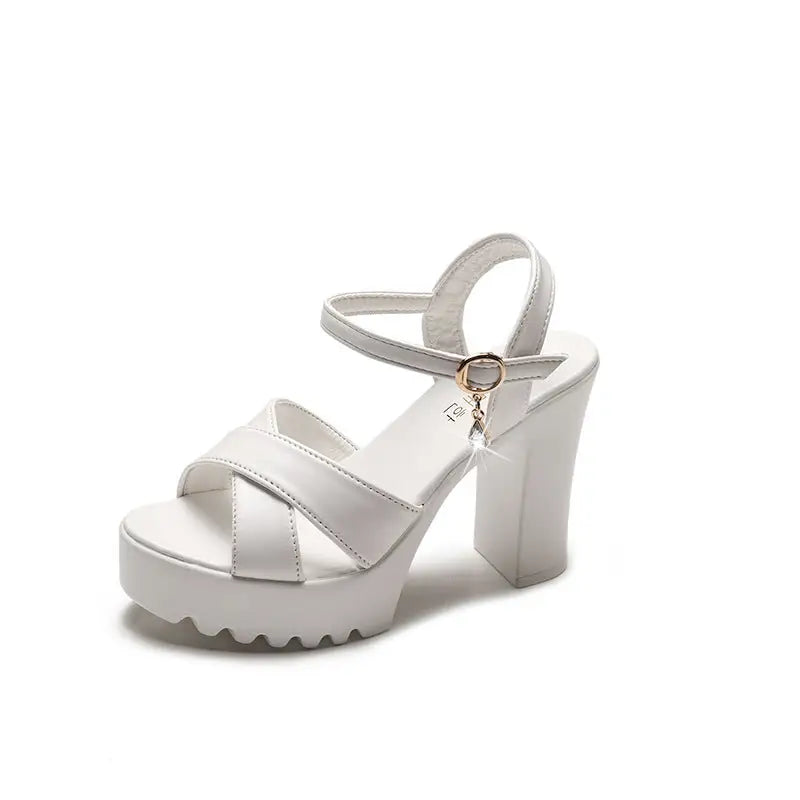 Platform Block High Heels Shoes - sleek-selections