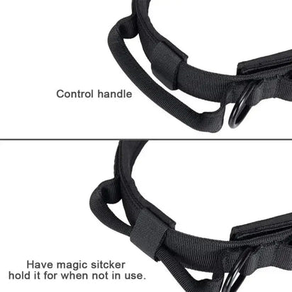 Dog Tactical Collar Training Set