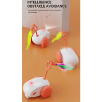 Intelligent Cat Teasing Mouse Toy