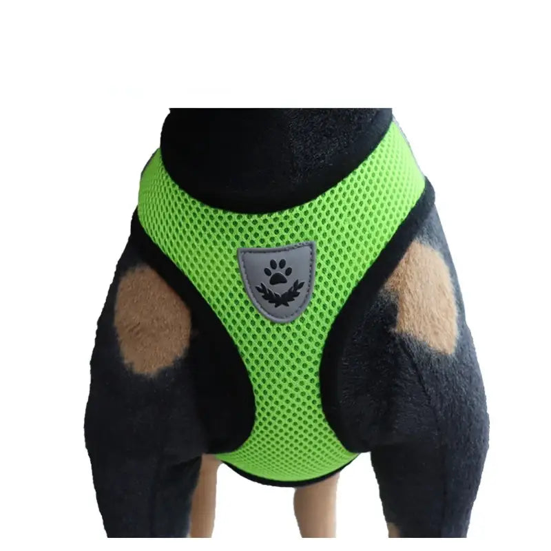 Cat Dog Harness with Lead Leash