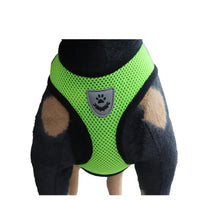 Cat Dog Harness with Lead Leash