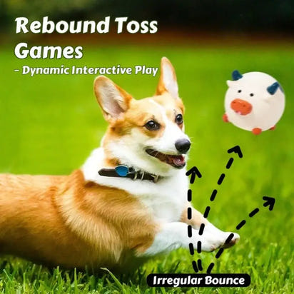 Stimmspielzeug für Hunde