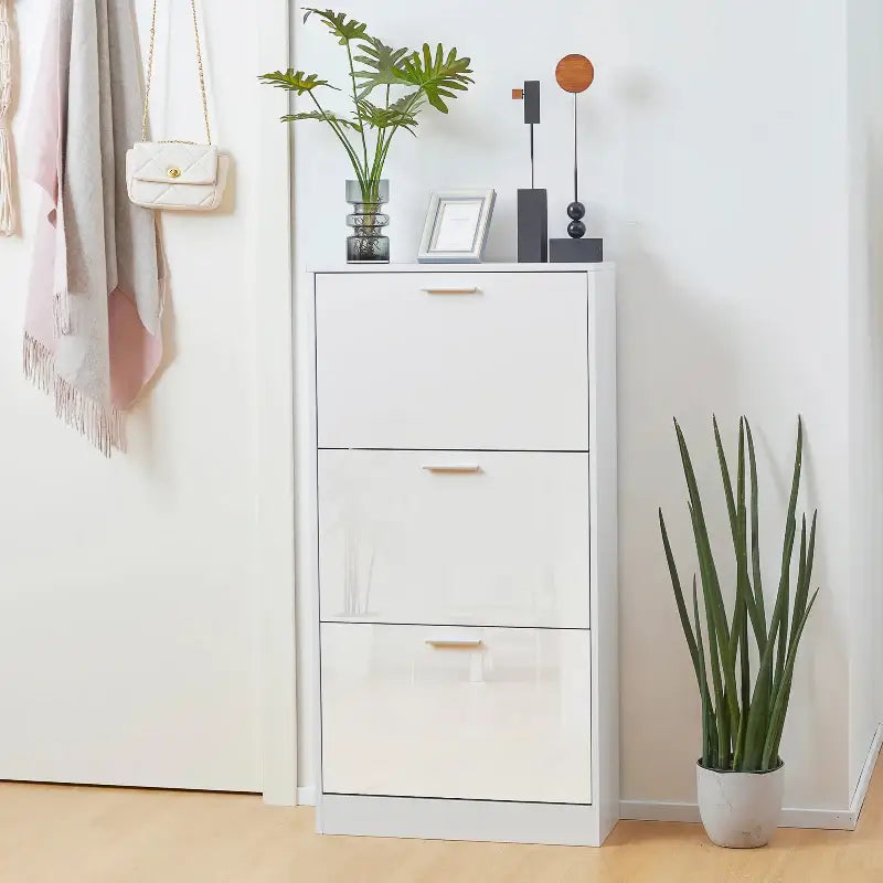 Slim Shoe Storage - sleek-selections