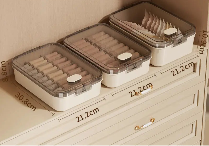 3-in-1 Wardrobe Compartment Organizer With Lid