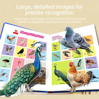 Childrens English Voice Book Early Education