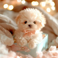 Electric Plush Puppy Doll