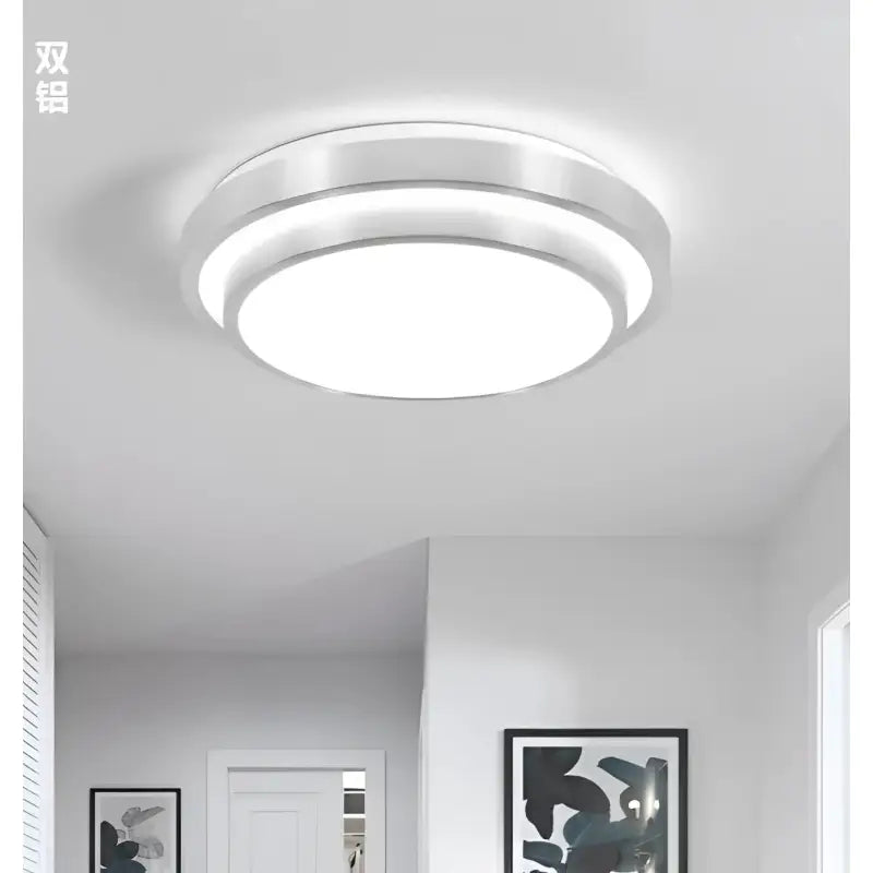Round Aluminum LED Ceiling Lights - sleek-selections