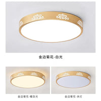 Round Aluminum LED Ceiling Lights - sleek-selections