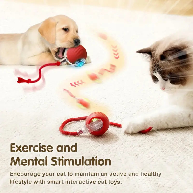 Cat Interactive Ball Toy - sleek-selections
