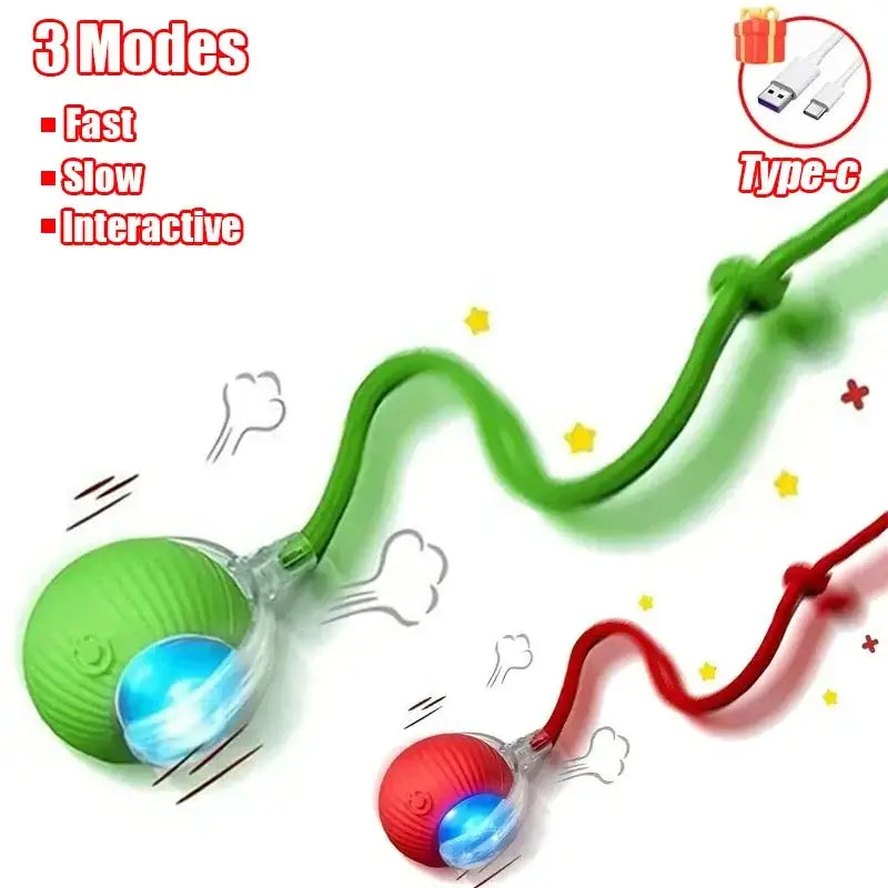 Cat Interactive Ball Toy - sleek-selections