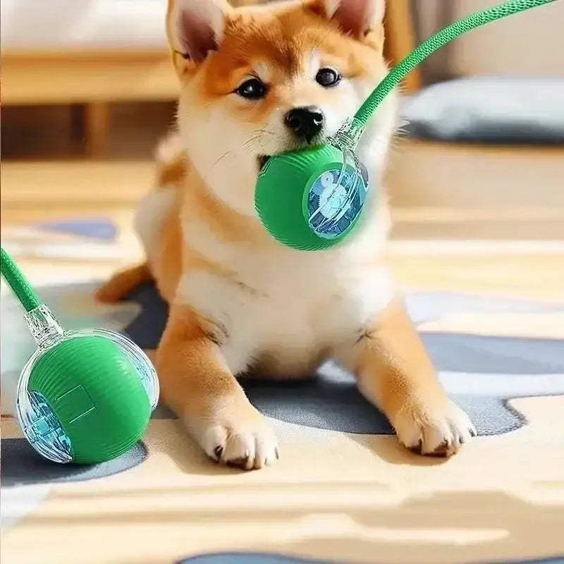 Cat Interactive Ball Toy - sleek-selections