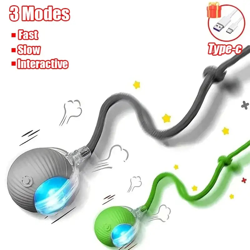 Cat Interactive Ball Toy - sleek-selections