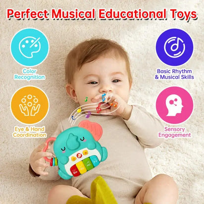 Electronic Baby Early Education Sound Toy