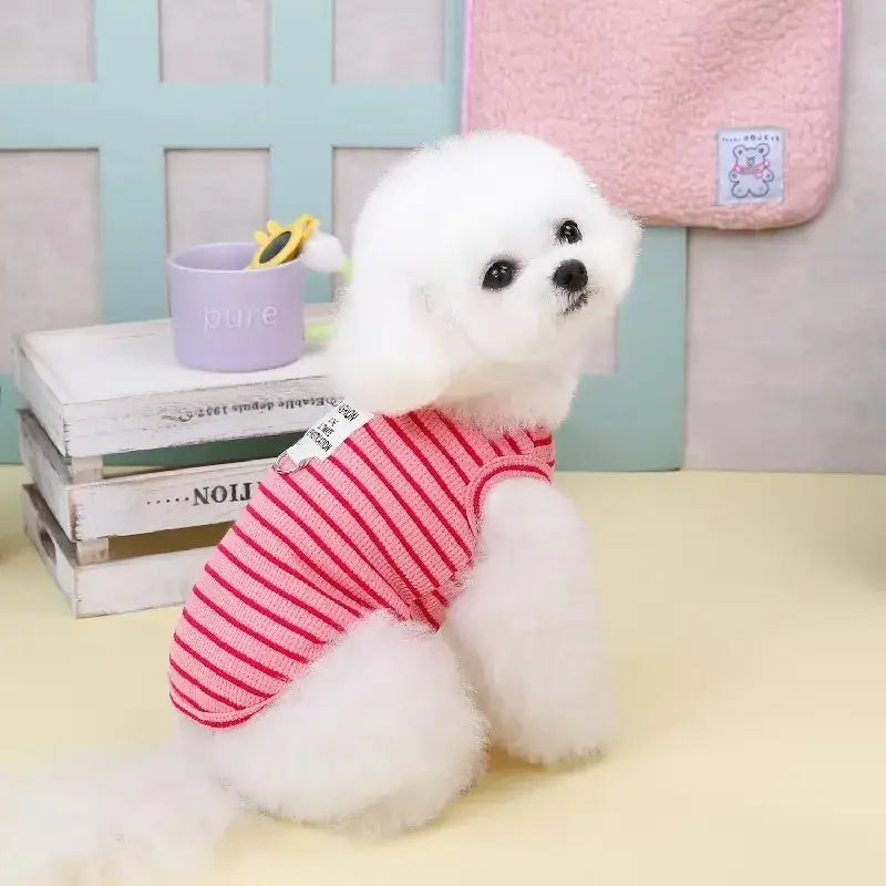White dog wearing pink striped shirt showcasing puppy summer clothes for small dogs