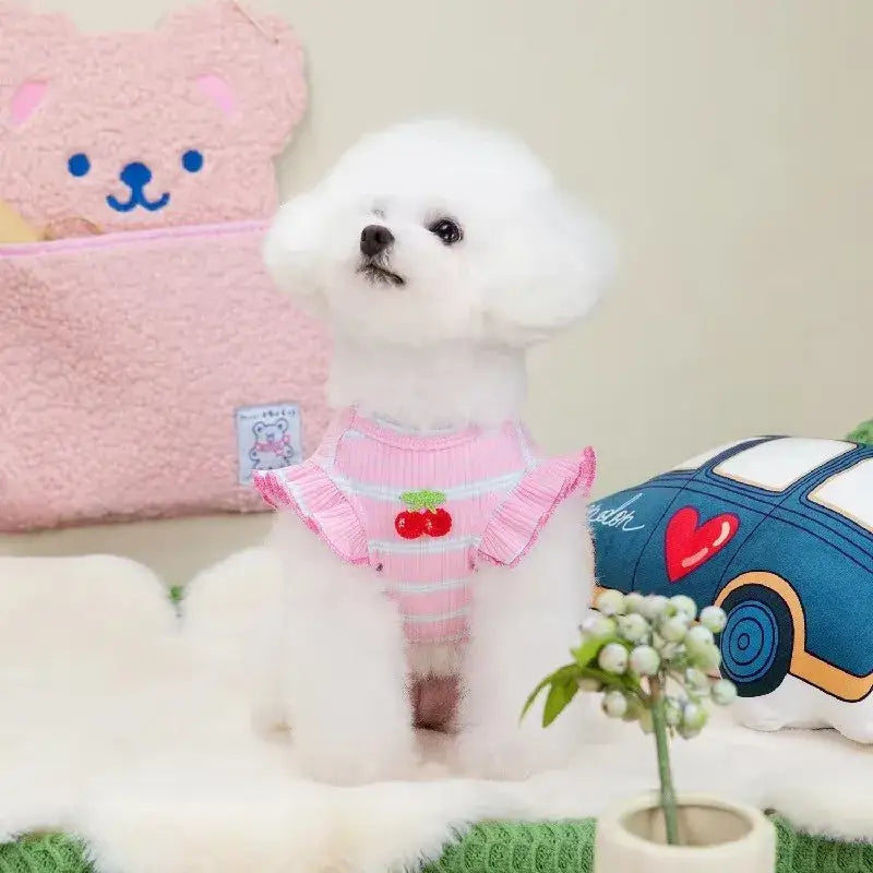 White dog in pink cherry-themed dress wearing puppy summer clothes for small dogs
