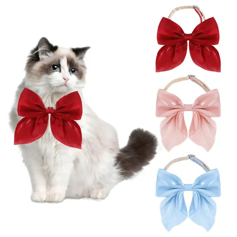 Cat wearing a red bow tie with additional bow ties in red, pink, and blue.