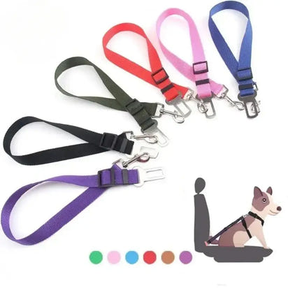 Colorful dog seatbelt restraints.