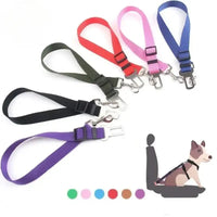 Colorful dog seatbelt restraints.