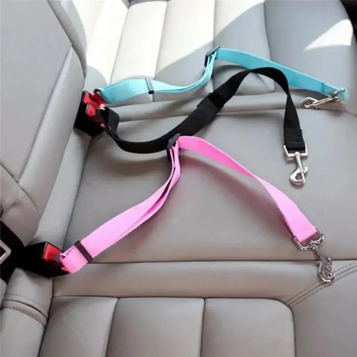 Dog seatbelt restraints.