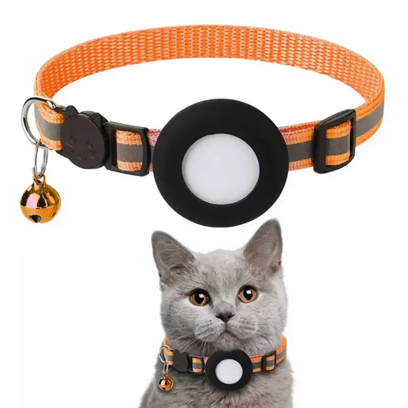 Orange cat collar with bell and tracker holder.