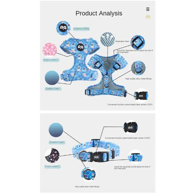 Transform Walks into Joyful Adventures Together!