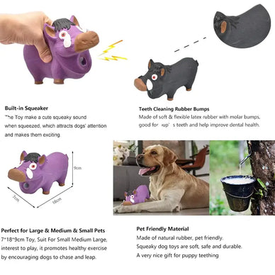 Endless Joy and Play for Your Beloved Companion