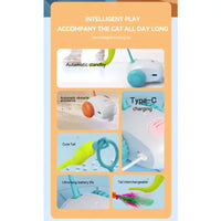 Intelligent Cat Teasing Mouse Toy