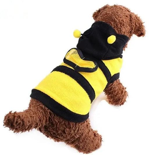 Brown dog wearing a bee costume.