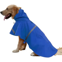 Blue dog raincoat.