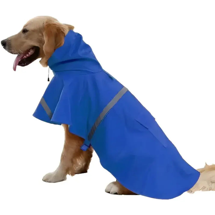 Blue dog raincoat.