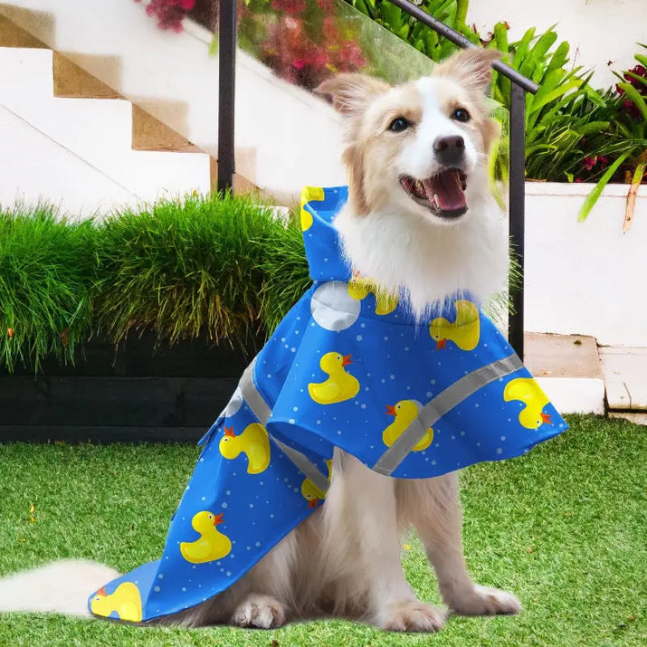 Dog wearing a blue ducky raincoat.