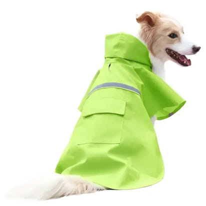 Dog wearing a bright green raincoat.