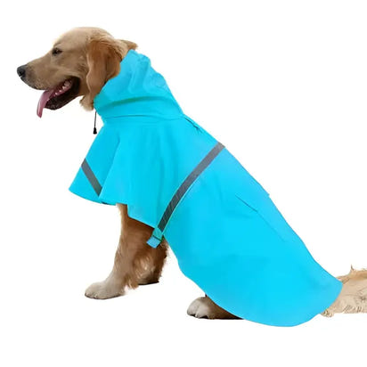Golden retriever wearing a blue raincoat.