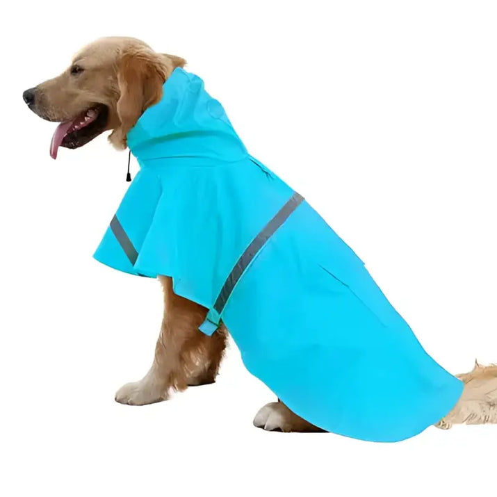 Golden retriever wearing a blue raincoat.