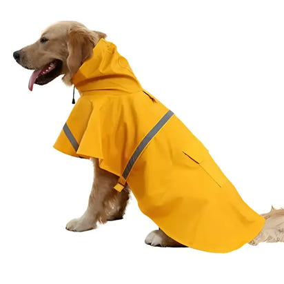 Golden retriever wearing a yellow raincoat.
