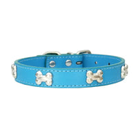 Blue dog collar with bone accents.