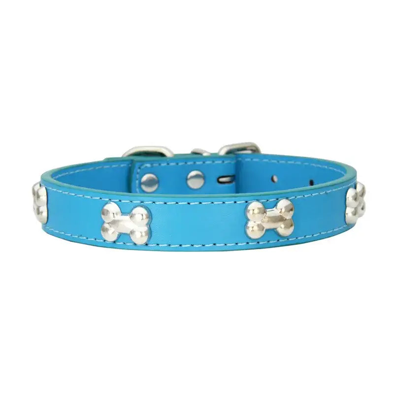 Blue dog collar with bone accents.