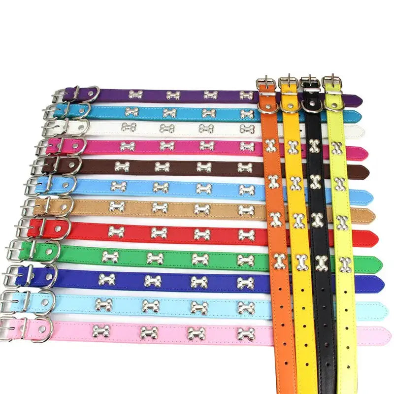 Colorful dog collars with bone accents.