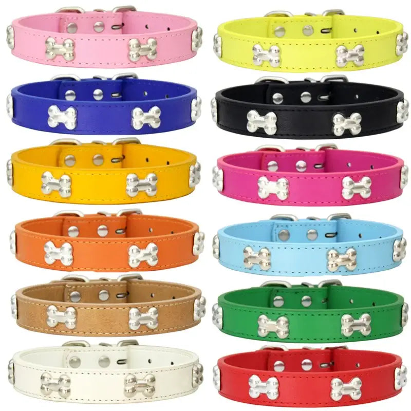 Colorful dog collars with bone accents.