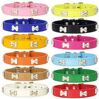 Colorful dog collars with bone accents.