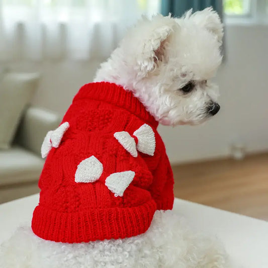 White dog wearing a red sweater with white bows.