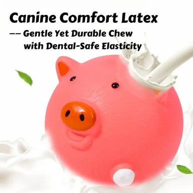 "Joyful Moments Await: Keep Your Pup Happy!"