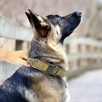 Dog Tactical Collar Training Set