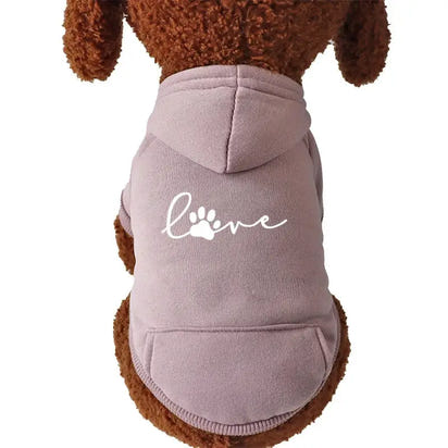 Brown dog wearing a lavender hoodie.