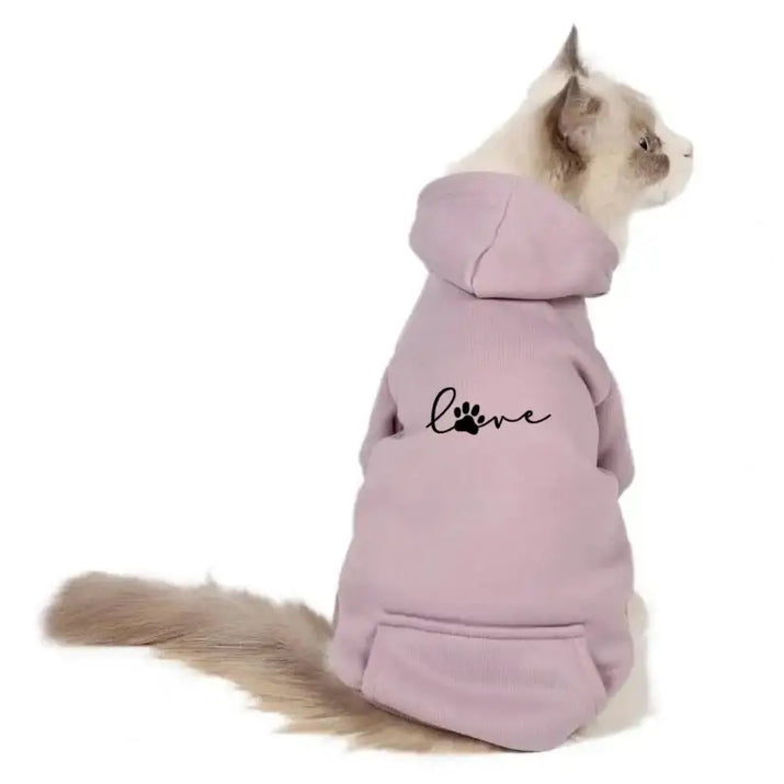 Cat wearing a pink hoodie.